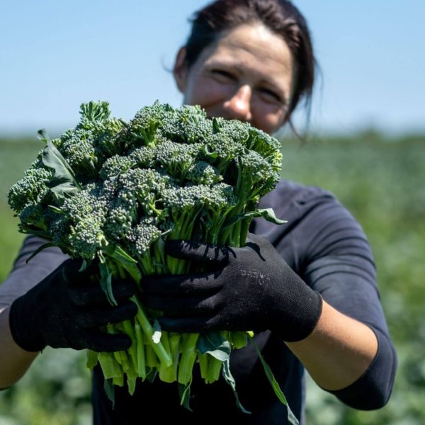 Barfoots website image