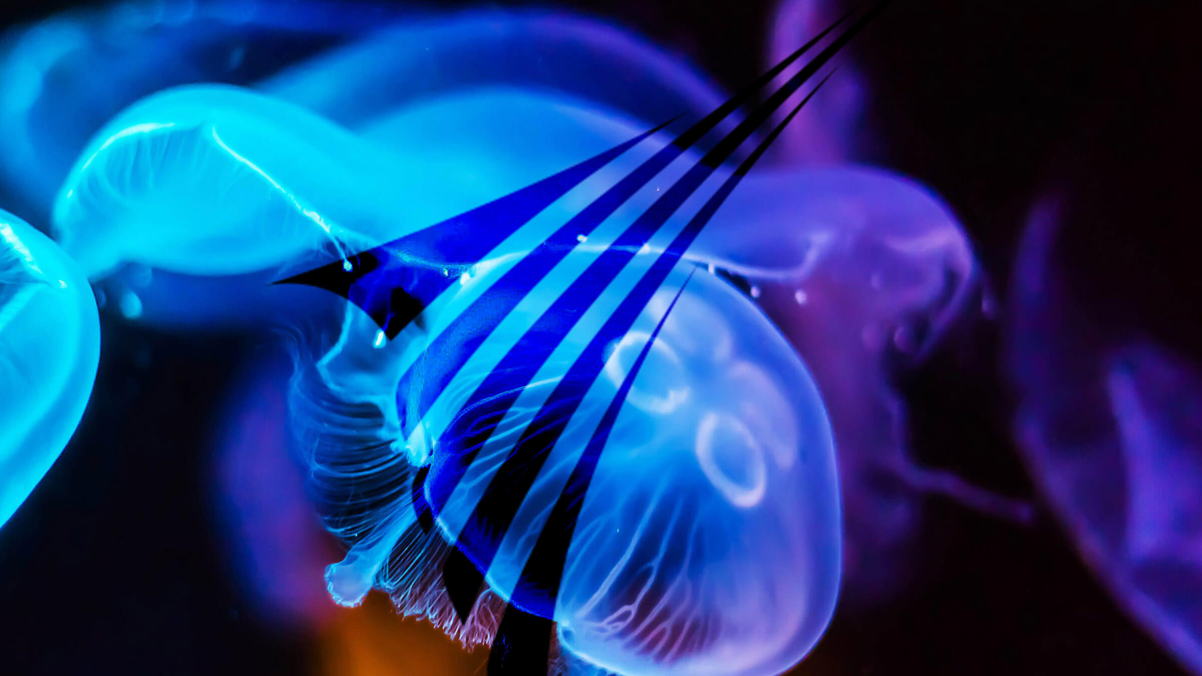 bluemarlin Agency Website Design | DCOE:D | Bristol Website & WordPress