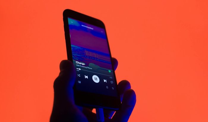 Harnessing the Spotify API