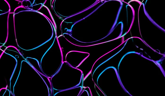 Staff Picks: Essential WordPress Plugins for Your Website